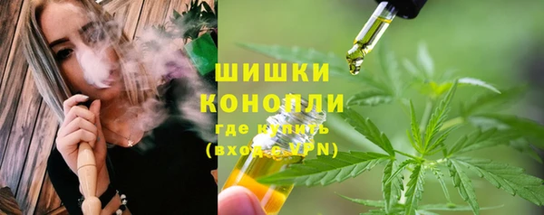 сатива Михайлов