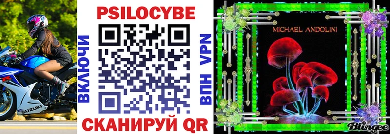 Псилоцибиновые грибы Psilocybe  как найти наркотики  OMG ССЫЛКА  Сусуман 