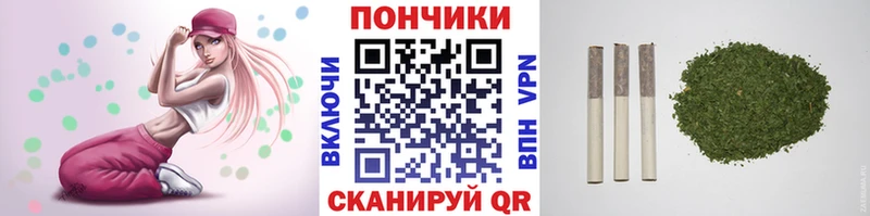 Шишки марихуана план Сусуман